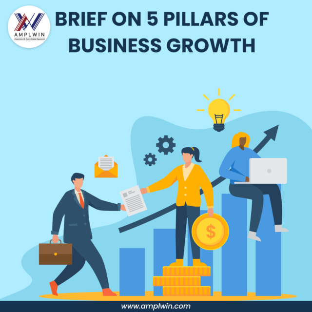 Brief on 5 pillars of business growth